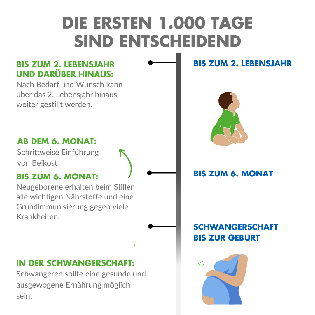 Grafik über die Ernährung von Baby bzw. Kleinkind sowie stillendem Elternteil während der ersten tausend Tage