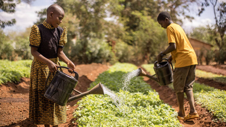 Zwei Jugendliche in Tansania gießen ihren Gemüsegarten.