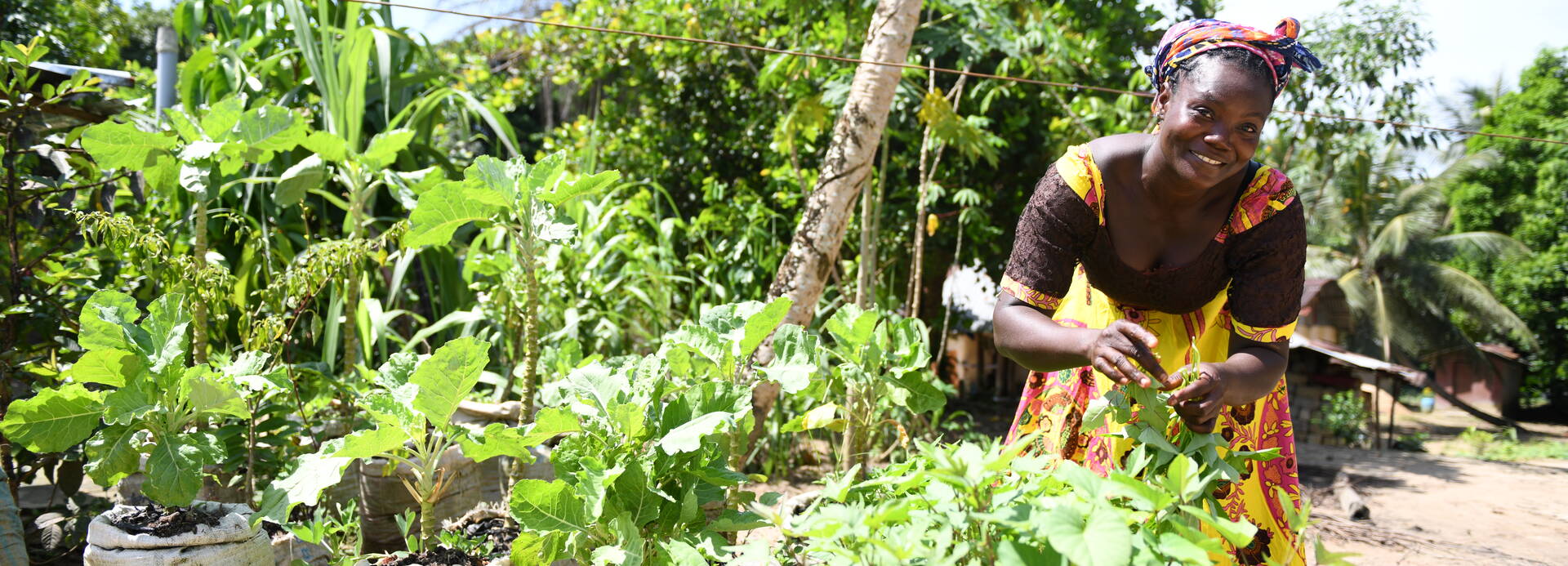 Eine Frau aus Liberia beim Pflegen ihrer Pflanzen für den Gemeindegarten.