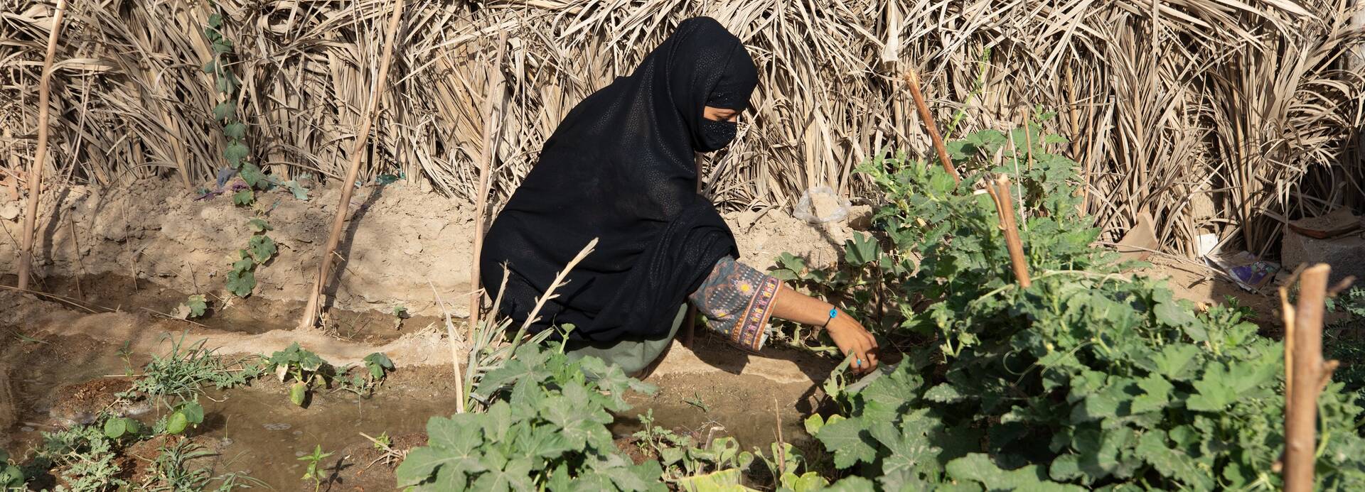 Feroza aus einem Dorf in Sindh, Pakistan, pflanzt Weizen- und Gemüsesamen an, damit ihre Familie sich selbst versorgen kann.