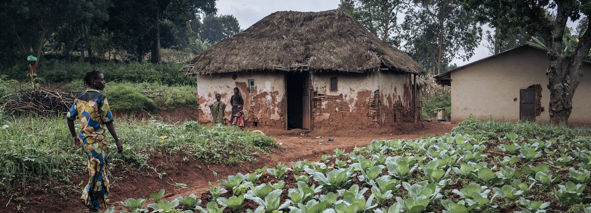 Alice Ditsove Birungi (links) geht in ihrem Kohlfeld in der Ortschaft Chussa spazieren, das durch das ACF-Projekt zur Wiederbelebung der Landwirtschaft in den Gesundheitszonen Drodro und Lita im Gebiet Djugu, Provinz Ituri, im Nordosten der Demokratischen Republik Kongo, unterstützt wird.