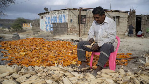 Ein Mann sitzt auf einem Stuhl in Piura, im Norden Perus, und schält Mais.
